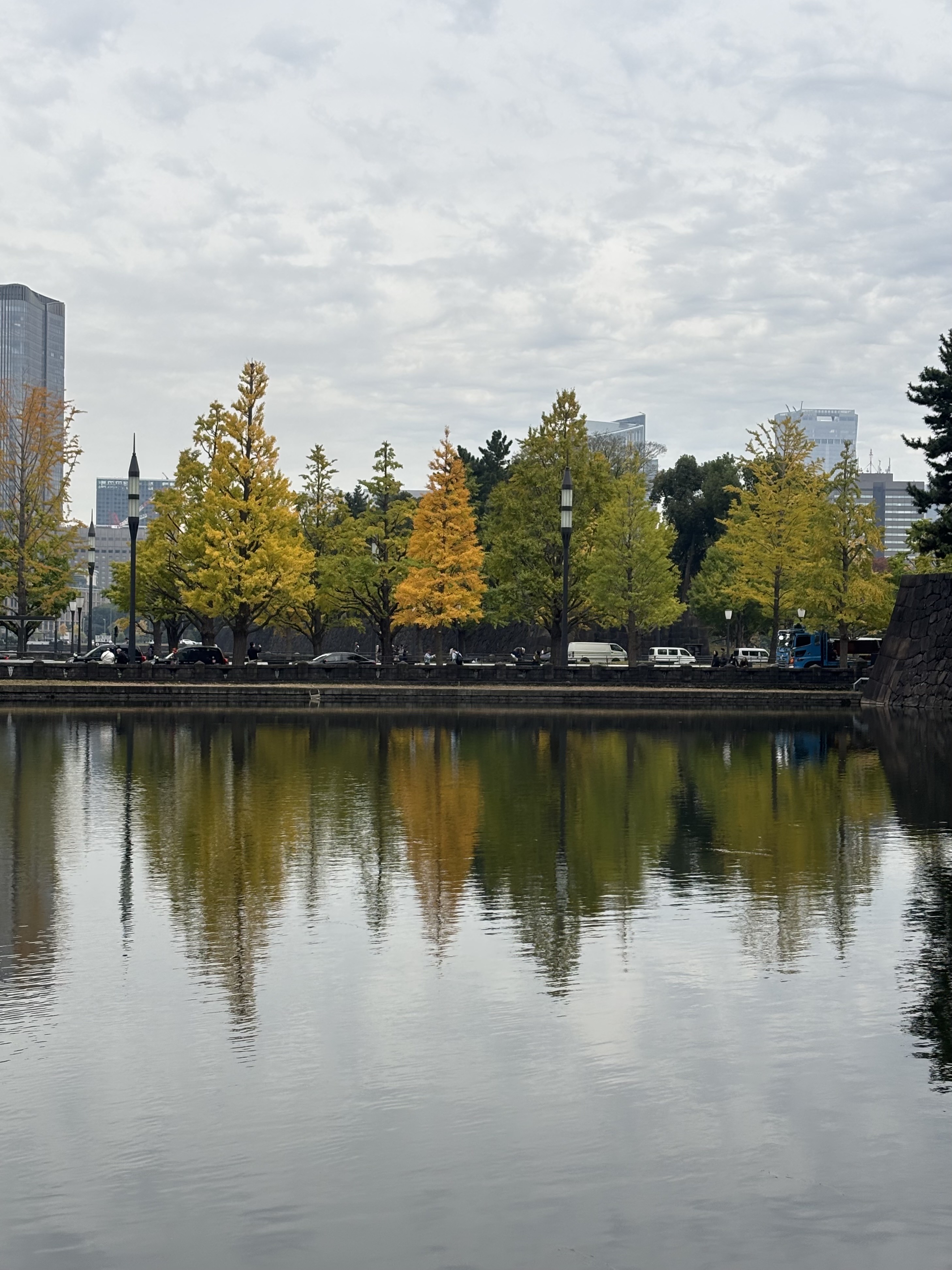 日本水岸旁的樹木與街景