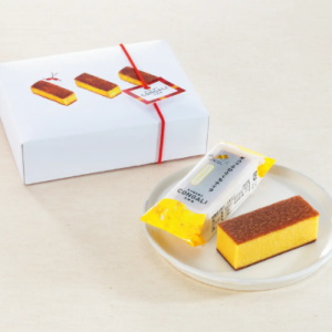 【預購】匠の焼き菓子 CONGALI 文明堂 蜂蜜卡斯蒂拉蛋糕 一口包裝 日本代購 伴手禮盒