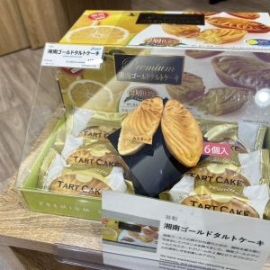 【預購】湘南黃金塔 6入 黃金柑橘 奶油塔 卡士達塔 伴手禮 日本代購