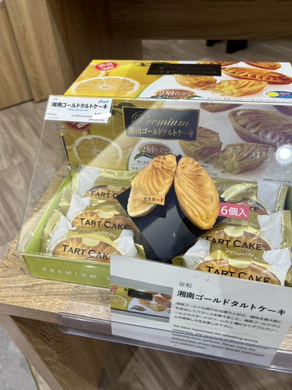 【預購】湘南黃金塔 6入 黃金柑橘 奶油塔 卡士達塔 伴手禮 日本代購
